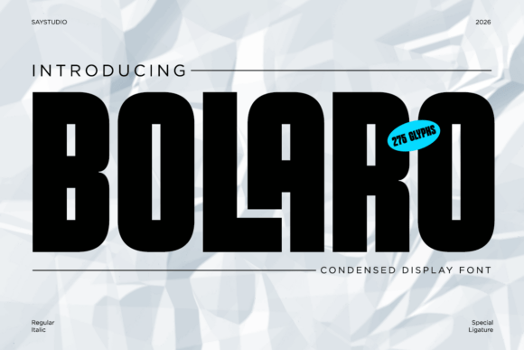 Bolaro: A Bold Font for Business Branding