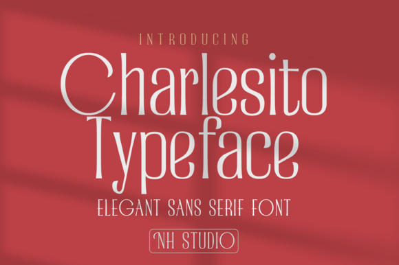 Charlesito: A Font for Clear Campaigns