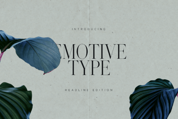 Elevate Brand Identity with Emotive Type Serif Font