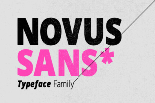 Novus Sans: A Modern Typeface for Polished Web Design