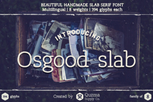 Osgood Slab: A Versatile Typeface for Modern Web Design