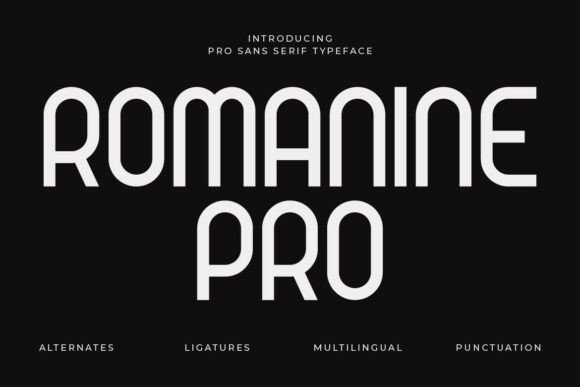 Romane Pro: The Modern Condensed Typeface for Crafters